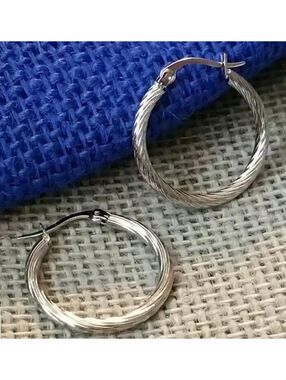 Surgical Steel Twisted Hoop Earrings 1\